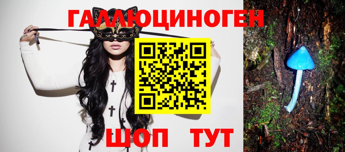 Галлюциногенные грибы мухоморы  купить наркотик  Новороссийск  Вход с VPN 